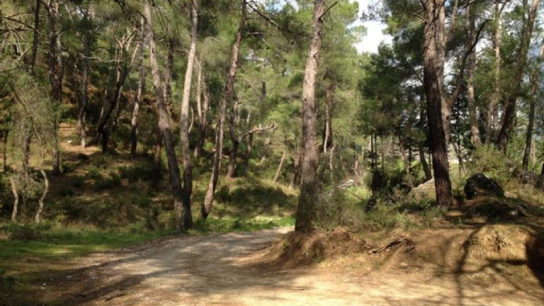 RunAnatolia 2016 Trainer